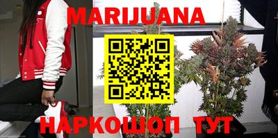 гидра Бузулук
