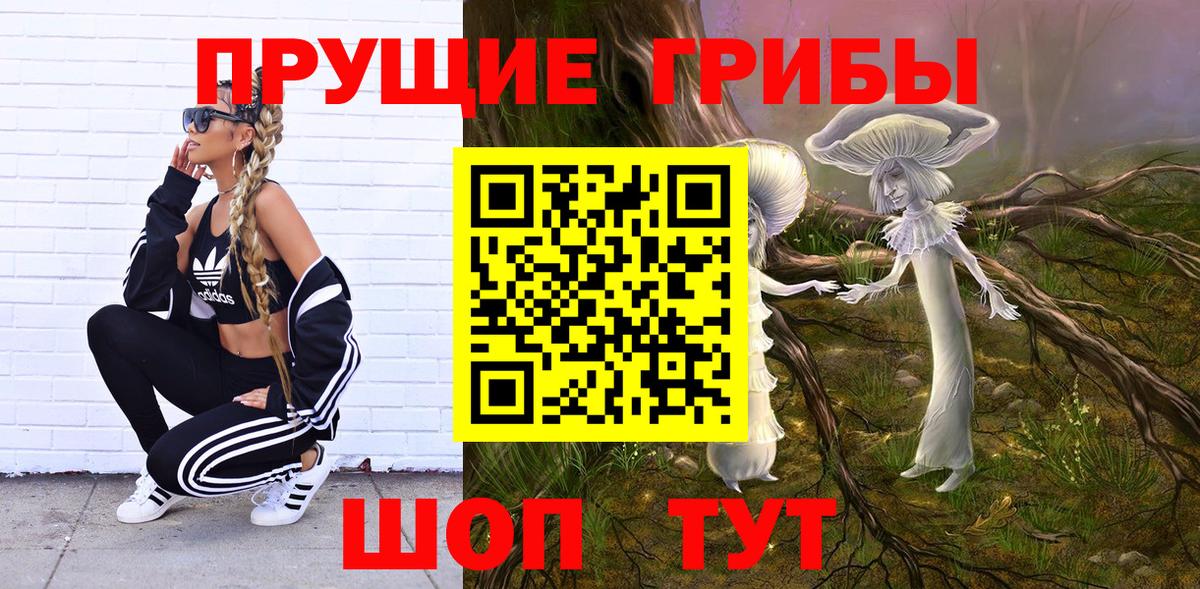 Наро-Фоминск  Псилоцибиновые грибы Cubensis  Вход с VPN  Галлюциногенные грибы Magic Shrooms 